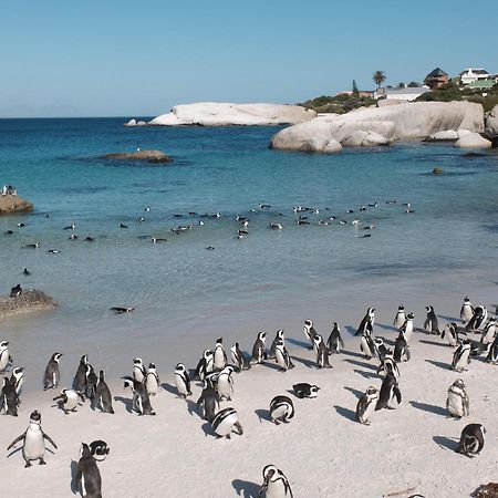 Penguin Haven . Luxury 2 Bedroom, Boulders Beach. كيب تاون المظهر الخارجي الصورة